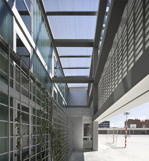 IES Montperdut